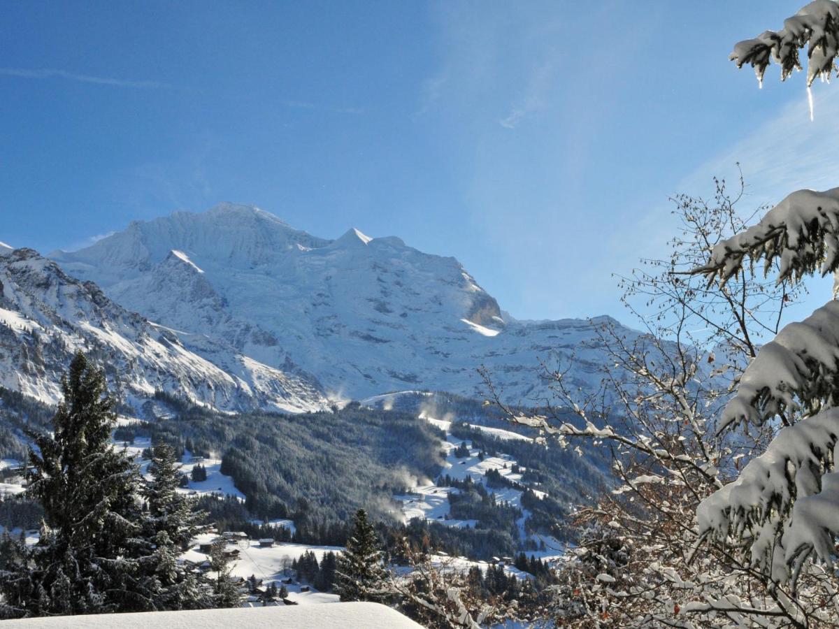 Apartment Sulegg By Interhome Wengen Kültér fotó